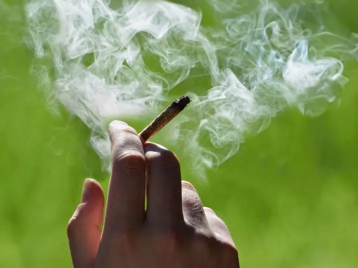 Курение конопли при кормлении снуп дог продажа марихуаны